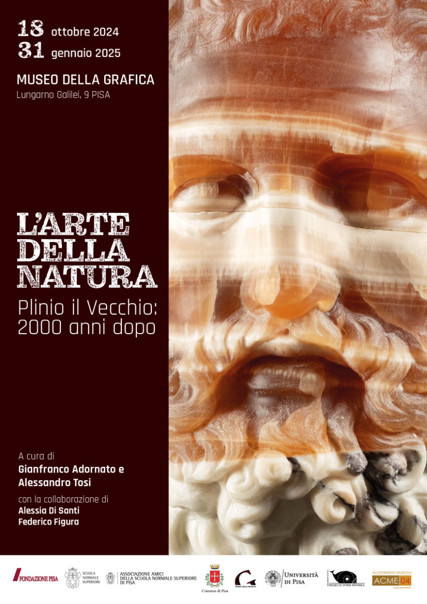 L’arte della natura: Plinio il Vecchio: 2000 anni dopo