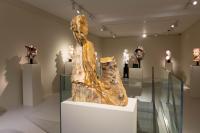 Massimiliano Pelletti - Metamorfosi