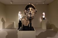 Massimiliano Pelletti - Metamorfosi