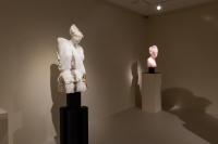 Massimiliano Pelletti - Metamorfosi