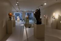 Massimiliano Pelletti - Metamorfosi