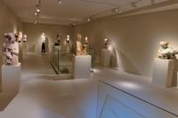 Massimiliano Pelletti - Metamorfosi