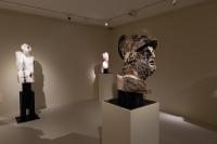 Massimiliano Pelletti - Metamorfosi