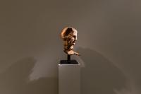 Massimiliano Pelletti - Metamorfosi