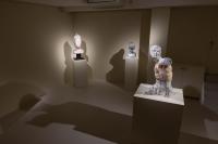 Massimiliano Pelletti - Metamorfosi