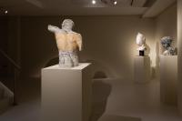 Massimiliano Pelletti - Metamorfosi