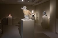 Massimiliano Pelletti - Metamorfosi