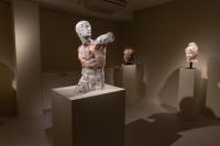 Massimiliano Pelletti - Metamorfosi