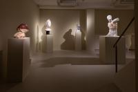 Massimiliano Pelletti - Metamorfosi