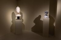 Massimiliano Pelletti - Metamorfosi