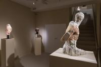 Massimiliano Pelletti - Metamorfosi