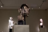 Massimiliano Pelletti - Metamorfosi