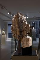 Massimiliano Pelletti - Metamorfosi