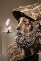 Massimiliano Pelletti - Metamorfosi