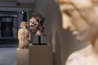 Massimiliano Pelletti - Metamorfosi