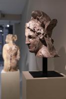 Massimiliano Pelletti - Metamorfosi