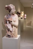 Massimiliano Pelletti - Metamorfosi